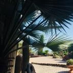 Egzotikus Kert Apartmanház Balatonalmádi - Medence/kert