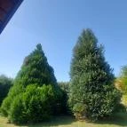 István Ház Balatonkeresztúr - Egyéb