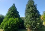 István Ház Balatonkeresztúr