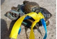 Kolodko: Szomorú tank miniszobra Budapest