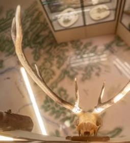 DámPont Ökoturisztikai Látogatóközpont