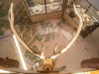 DámPont Ökoturisztikai Látogatóközpont Tamási