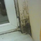 Erős Motel Dunavarsány - Egyéb