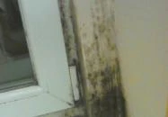 Erős Motel Dunavarsány