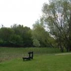 Diamant Hotel Conference, Spa & Family Resort Dunakiliti - Környék