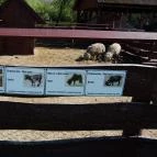 Diamant Hotel Conference, Spa & Family Resort Dunakiliti - Környék