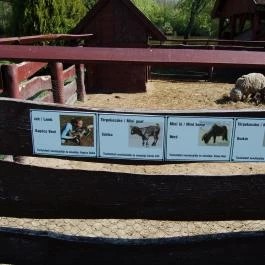 Diamant Hotel Conference, Spa & Family Resort, Dunakiliti - Környék