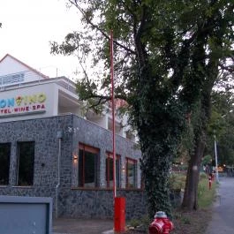 Hotel Bonvino Wine & Spa, Badacsony - Külső kép