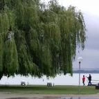 Club Tihany Hotel Tihany - Környék