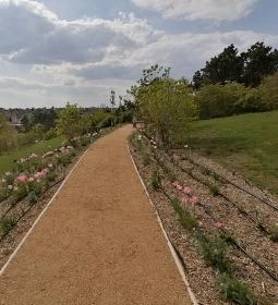 Aranybulla-emlékmű