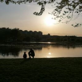 Csónakázó-tó, Székesfehérvár - Külső kép