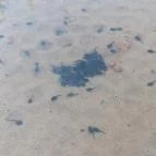 Gánti Bauxitföldtani Park Gánt - Külső kép