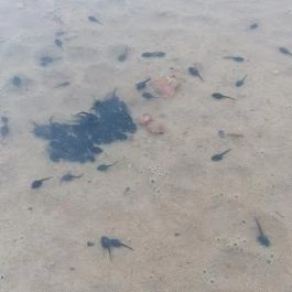 Gánti Bauxitföldtani Park, Gánt - Külső kép