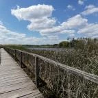 Tisza-tavi Vízi Sétány és Tanösvény Poroszló - Egyéb