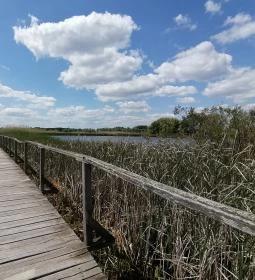 Tisza-tavi Vízi Sétány és Tanösvény