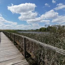 Tisza-tavi Vízi Sétány és Tanösvény Poroszló - Egyéb