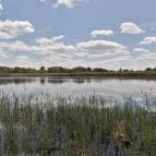 Tisza-tavi Vízi Sétány és Tanösvény Poroszló - Egyéb