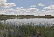 Tisza-tavi Vízi Sétány és Tanösvény Poroszló