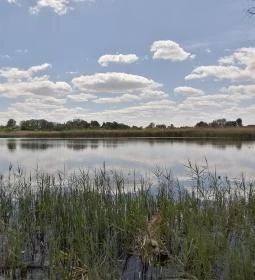 Tisza-tavi Vízi Sétány és Tanösvény