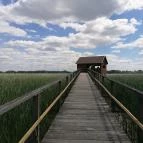 Tisza-tavi Vízi Sétány és Tanösvény Poroszló - Egyéb