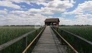 Tisza-tavi Vízi Sétány és Tanösvény Poroszló - 