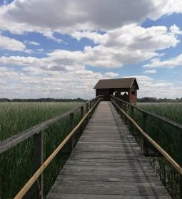 Tisza-tavi Vízi Sétány és Tanösvény