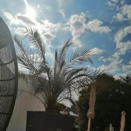 Belenus Thermalhotel Superior Zalakaros - Egyéb