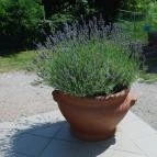 Jakab-hegy Vendégház Cserkút - Környék