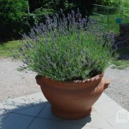 Jakab-hegy Vendégház Cserkút - Környék