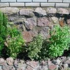 Jakab-hegy Vendégház Cserkút - Medence/kert