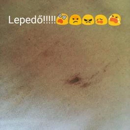 Hotel Erzsébet, Hévíz - Egyéb