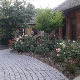 Puchner Kastélyszálló, Bikal - Környék