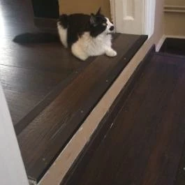 Zoocafé, Budapest - Belső