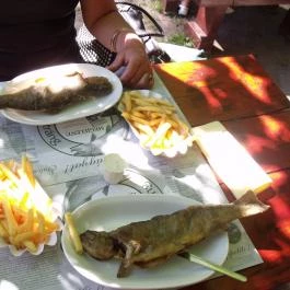 Hotel Palota, Lillafüred - Vendéglátás