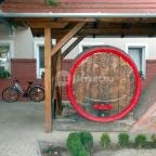 Pincelakat Borház & Szálloda Császártöltés - Medence/kert