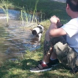 Grante Hotel Esztergom - Környék