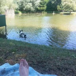 Grante Hotel Esztergom - Környék