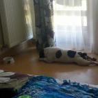 Grante Hotel Esztergom - Szobák