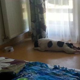 Grante Hotel Esztergom - Szobák