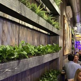 Costes Izakaya, Budapest - Egyéb