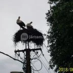 Royal Hotel Cserkeszőlő - Környék