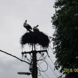 Royal Hotel Cserkeszőlő - Környék