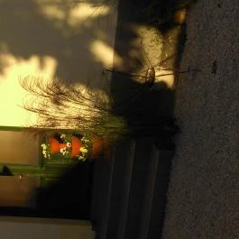 Várszálló Apartman Gyula - Külső kép