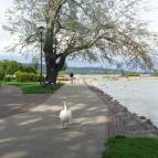 Melinda Villa Keszthely - Környék