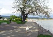 Melinda Villa Keszthely