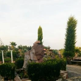 Egzotikus Kert Apartmanház , Balatonalmádi - Medence/kert