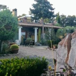 Egzotikus Kert Apartmanház , Balatonalmádi - Medence/kert