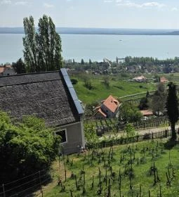 Dobosi Birtok étterem és borbár