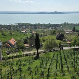 Dobosi Birtok étterem és borbár Szentantalfa - Külső kép