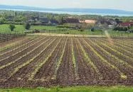 Dobosi Birtok étterem és borbár Szentantalfa